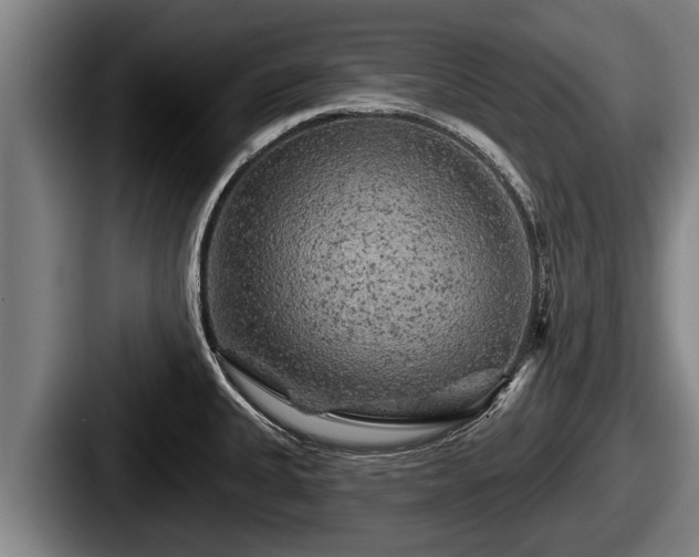 X0000087681335200705111253