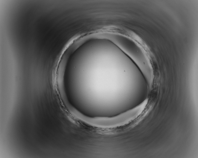 X0000087681336200705111253