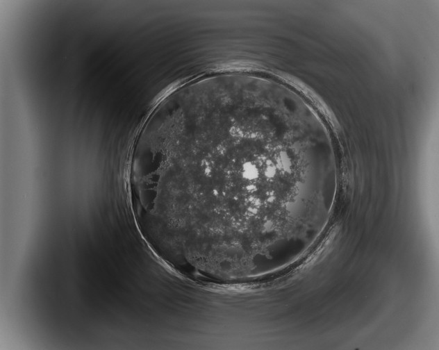 X0000087681337200705111253