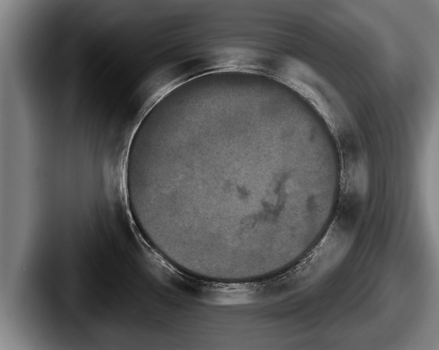 X0000087681338200705111253