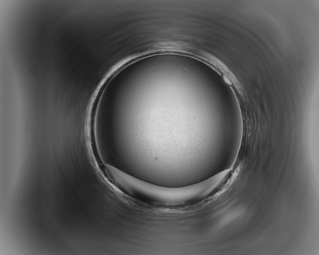 X0000087681339200705111253
