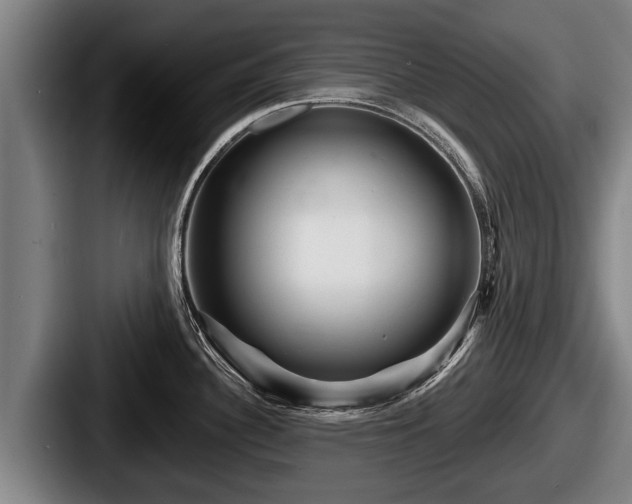 X0000087681340200705111253