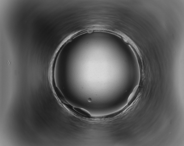 X0000087681341200705111253