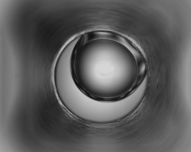 X0000087681342200705111253