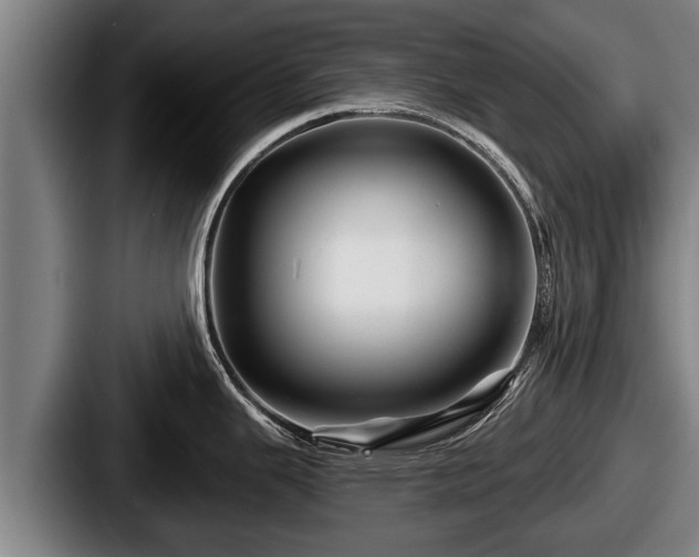X0000087681343200705111253
