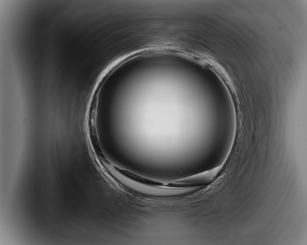 X0000087681344200705111253
