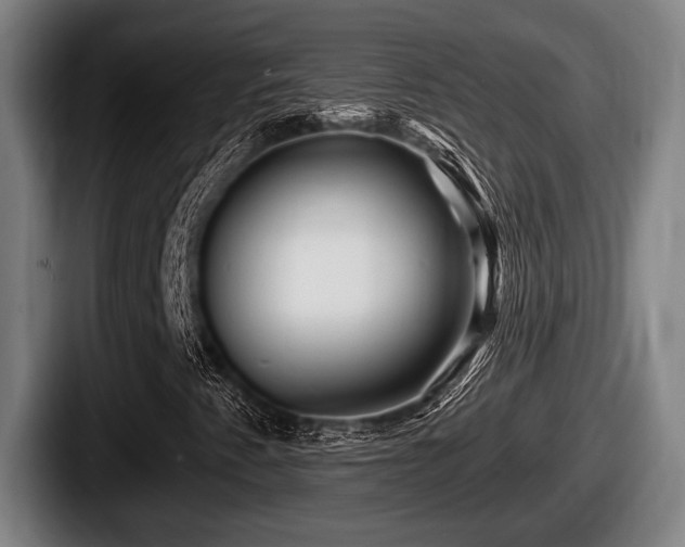 X0000087681345200705111252