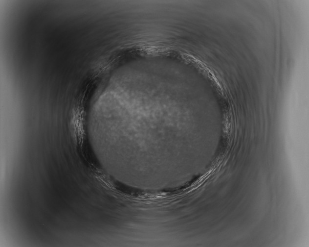 X0000087681346200705111252