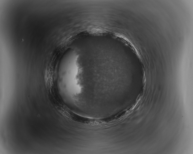 X0000087681348200705111252