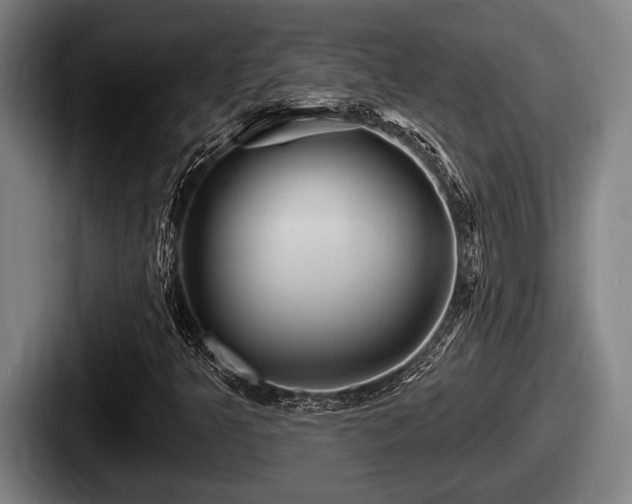 X0000087681349200705111252