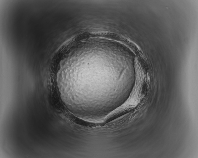 X0000087681351200705111252