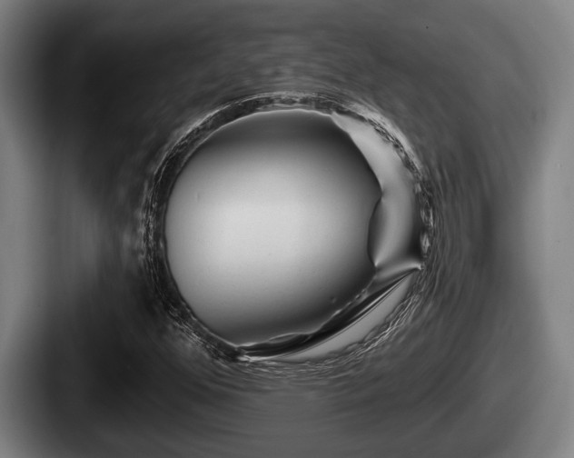 X0000087681352200705111252