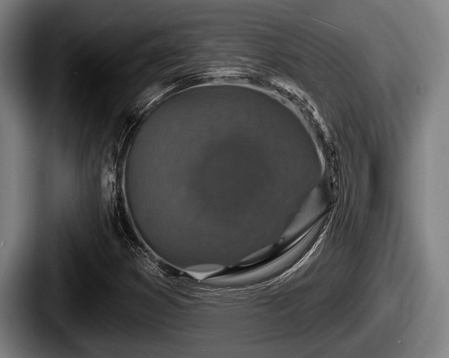 X0000087681353200705111252