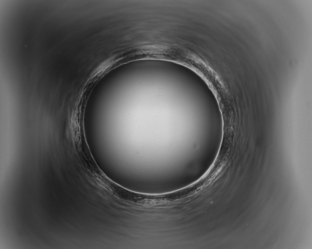 X0000087681354200705111252