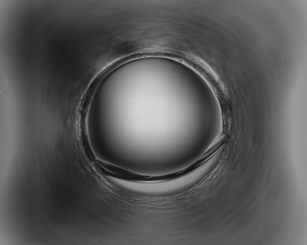X0000087681356200705111252