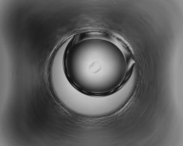 X0000087681357200705111252