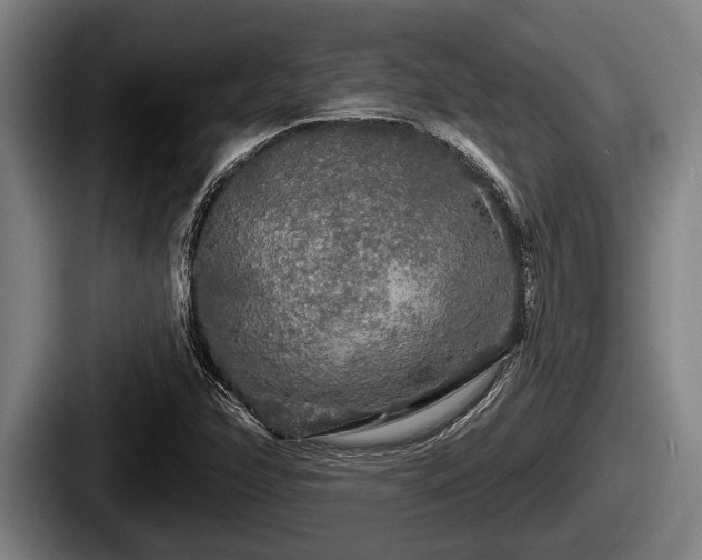 X0000087681358200705111252