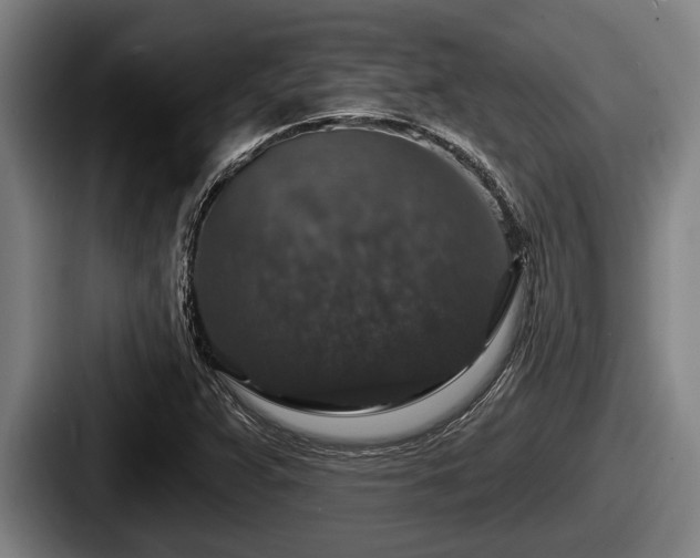 X0000087681359200705111252