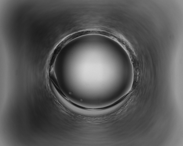X0000087681360200705111252