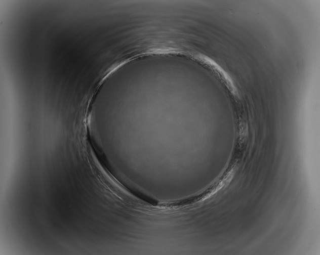X0000087681361200705111252