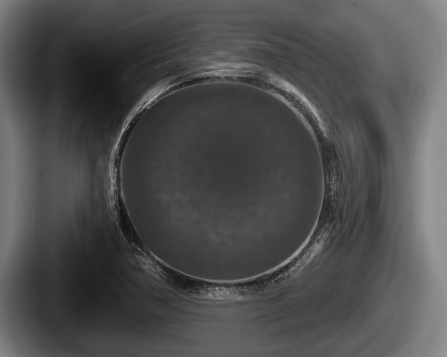X0000087681362200705111252