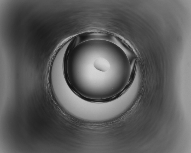 X0000087681363200705111252