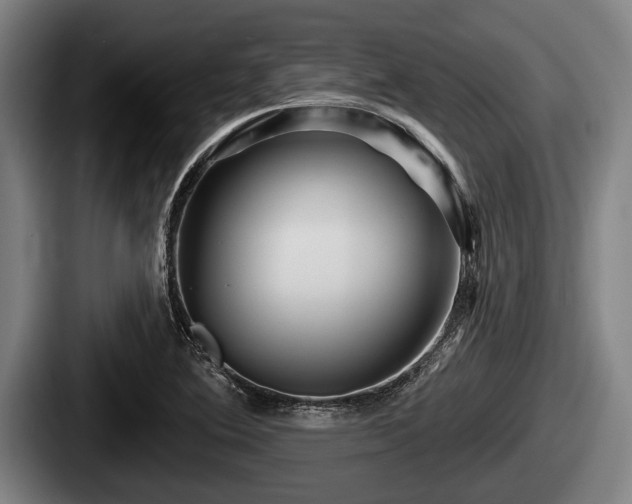 X0000087681364200705111252