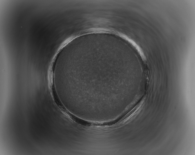 X0000087681365200705111252