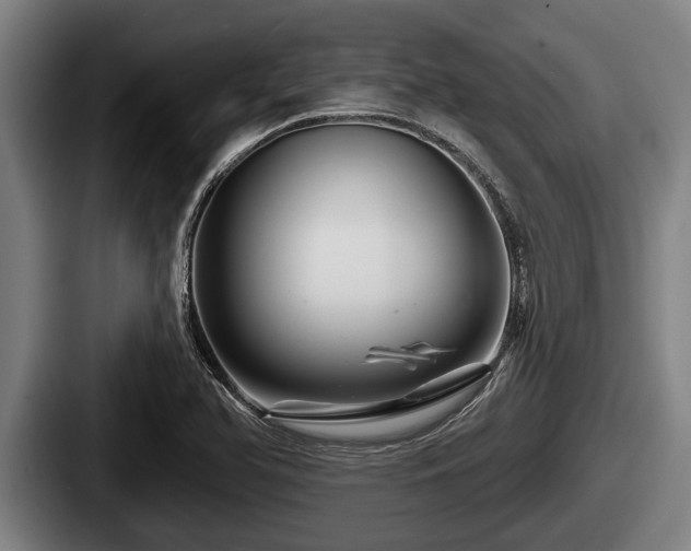X0000087681366200705111252