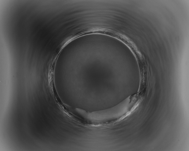 X0000087681369200705111252