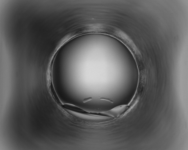X0000087681370200705111252