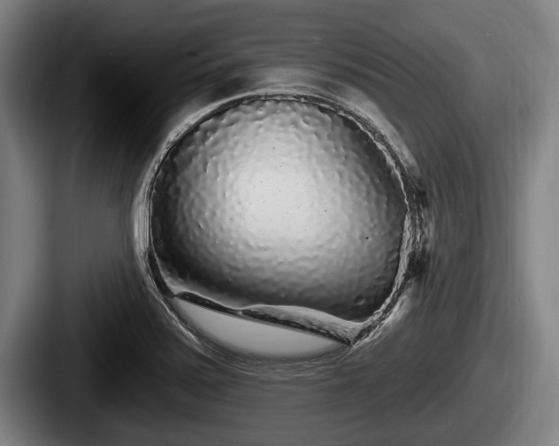 X0000087681371200705111252