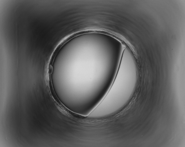 X0000087681372200705111252