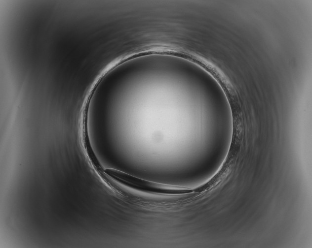 X0000087681375200705111252