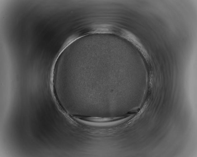 X0000087681378200705111252