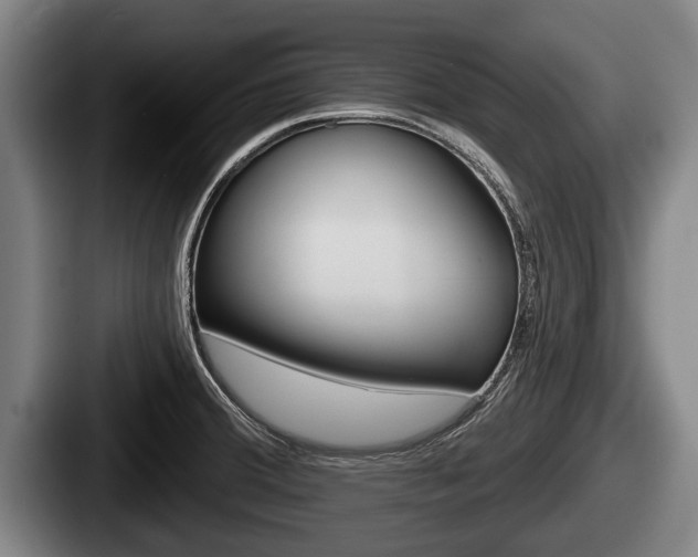 X0000087681380200705111252