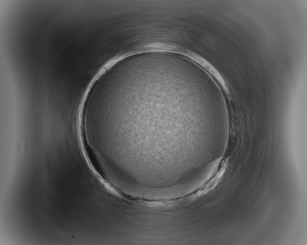 X0000087681381200705111252