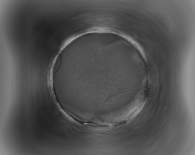 X0000087681382200705111252