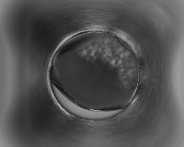 X0000087681383200705111252