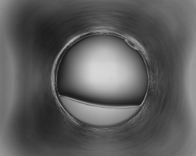 X0000087681384200705111252
