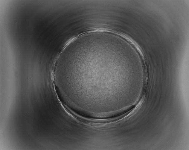 X0000087681385200705111252