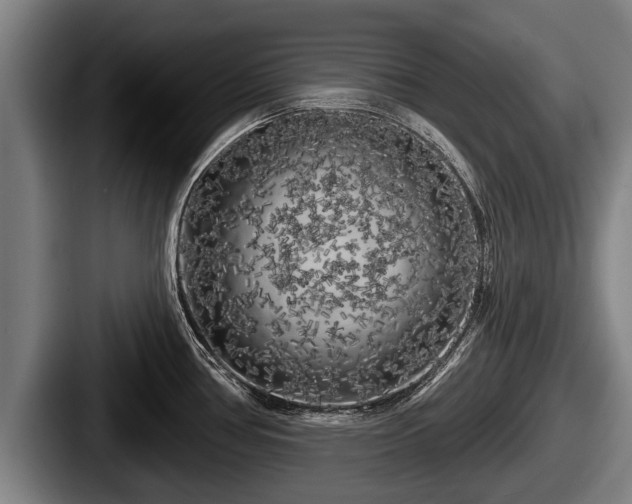 X0000087681386200705111251