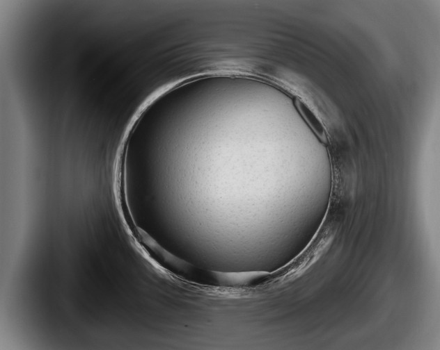 X0000087681387200705111251