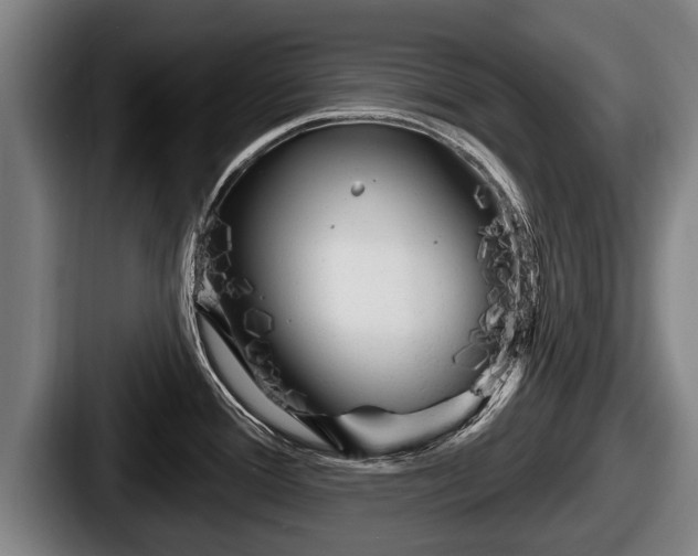 X0000087681388200705111251