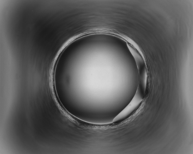 X0000087681389200705111251