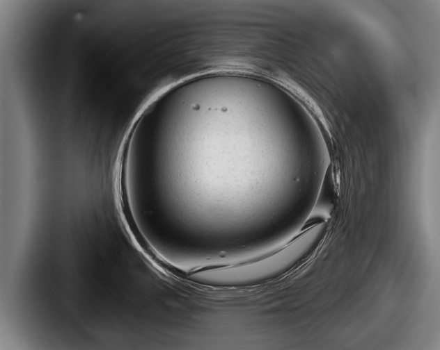 X0000087681391200705111251