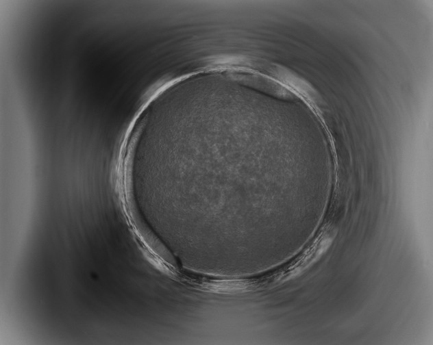 X0000087681392200705111251