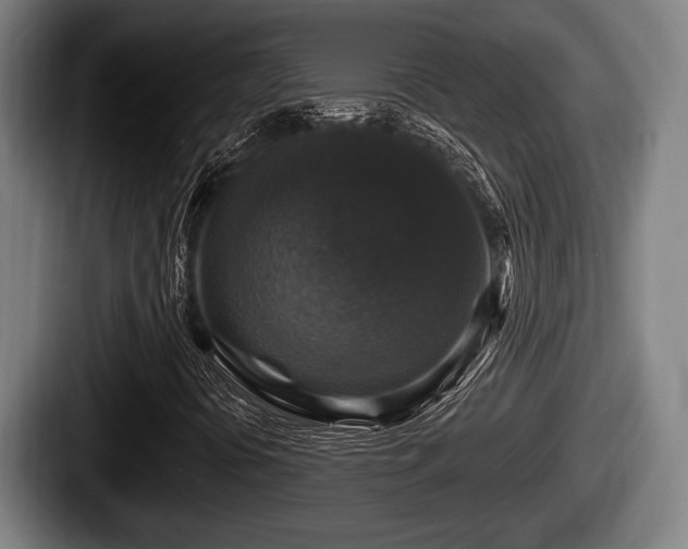 X0000087681394200705111251