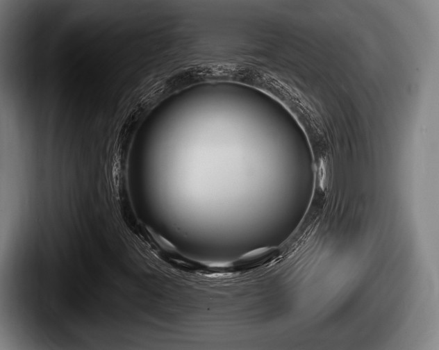 X0000087681395200705111251