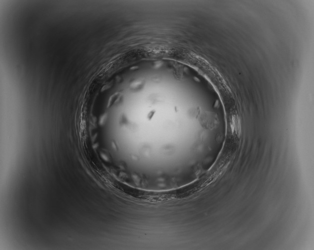 X0000087681396200705111251